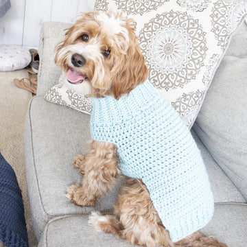 Pullover Dog Sweater