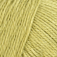 Kiwi (11)