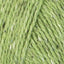 Lime (213)