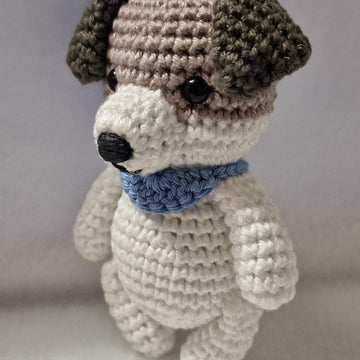 Jack Russell Terrier Dog