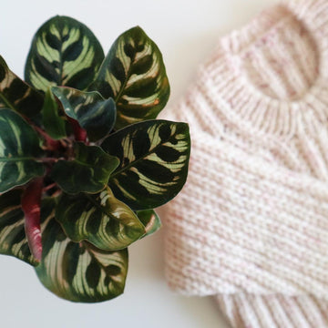 The Eliza Sweater
