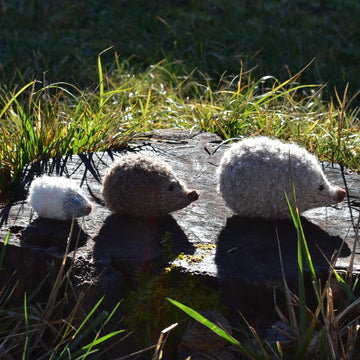 Hedgehog Woodland collection