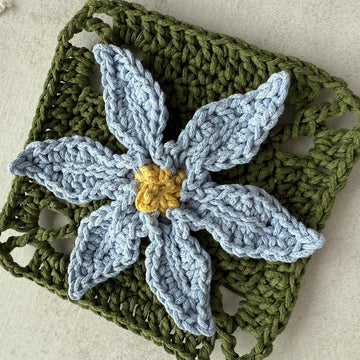 Stiff Blue-eyed Grass Flower Granny Square