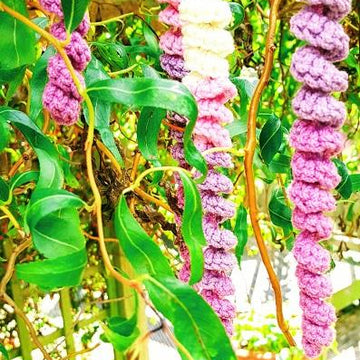Crochet Wisteria  Flower Curls