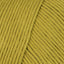 Lemongrass (5)