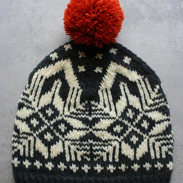 Eisbaer hat