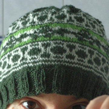 Turtle beanie