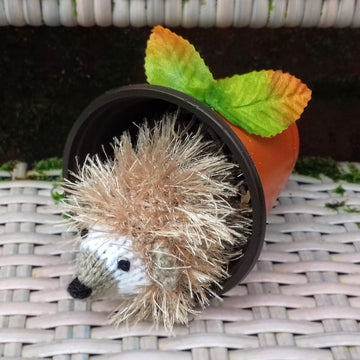 Waking Hedgehog - Creme Egg Cover
