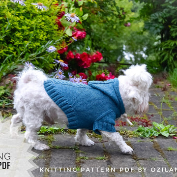 Sport hoodie clothes for dog