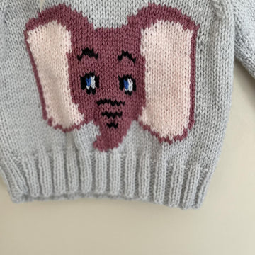 Baby elephant jumper