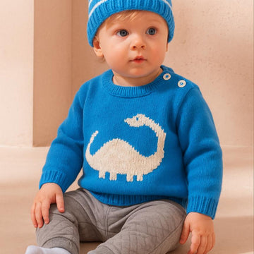 Dinosaur Sweater - Diplodocus