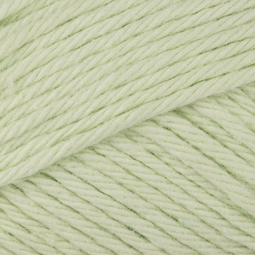 Pastel Green (045)