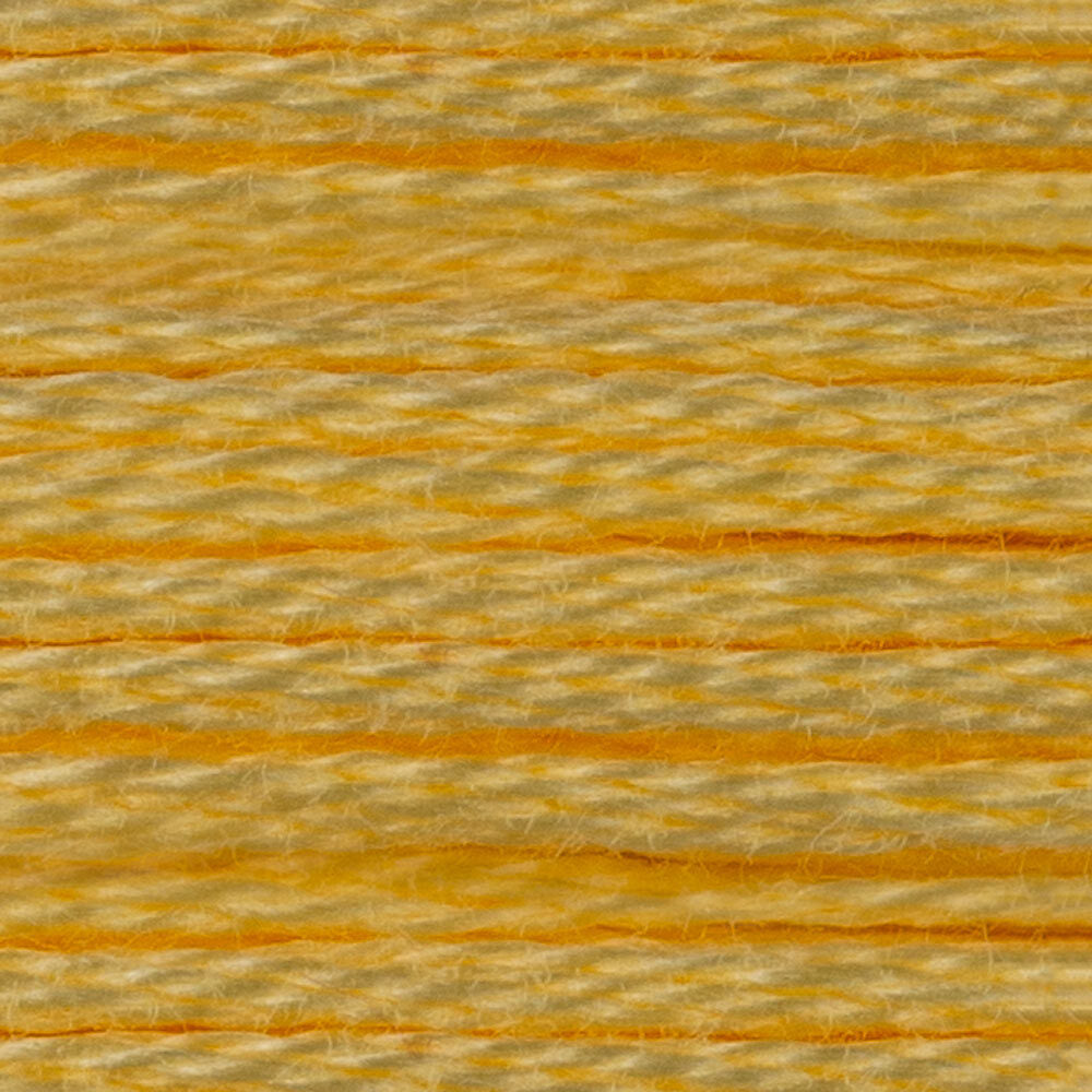 DMC Stranded Cotton - Warm Shades