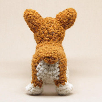 Choppie the Corgi