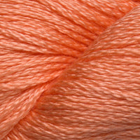 Apricot (121)