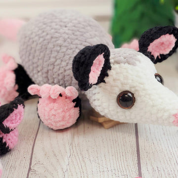 Possum