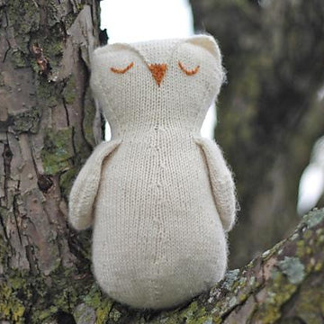 Dreamy Owl