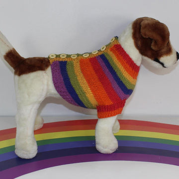 Small Dog Rainbow Back Button Up Dog Coat