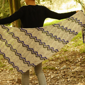 School Day Shawl