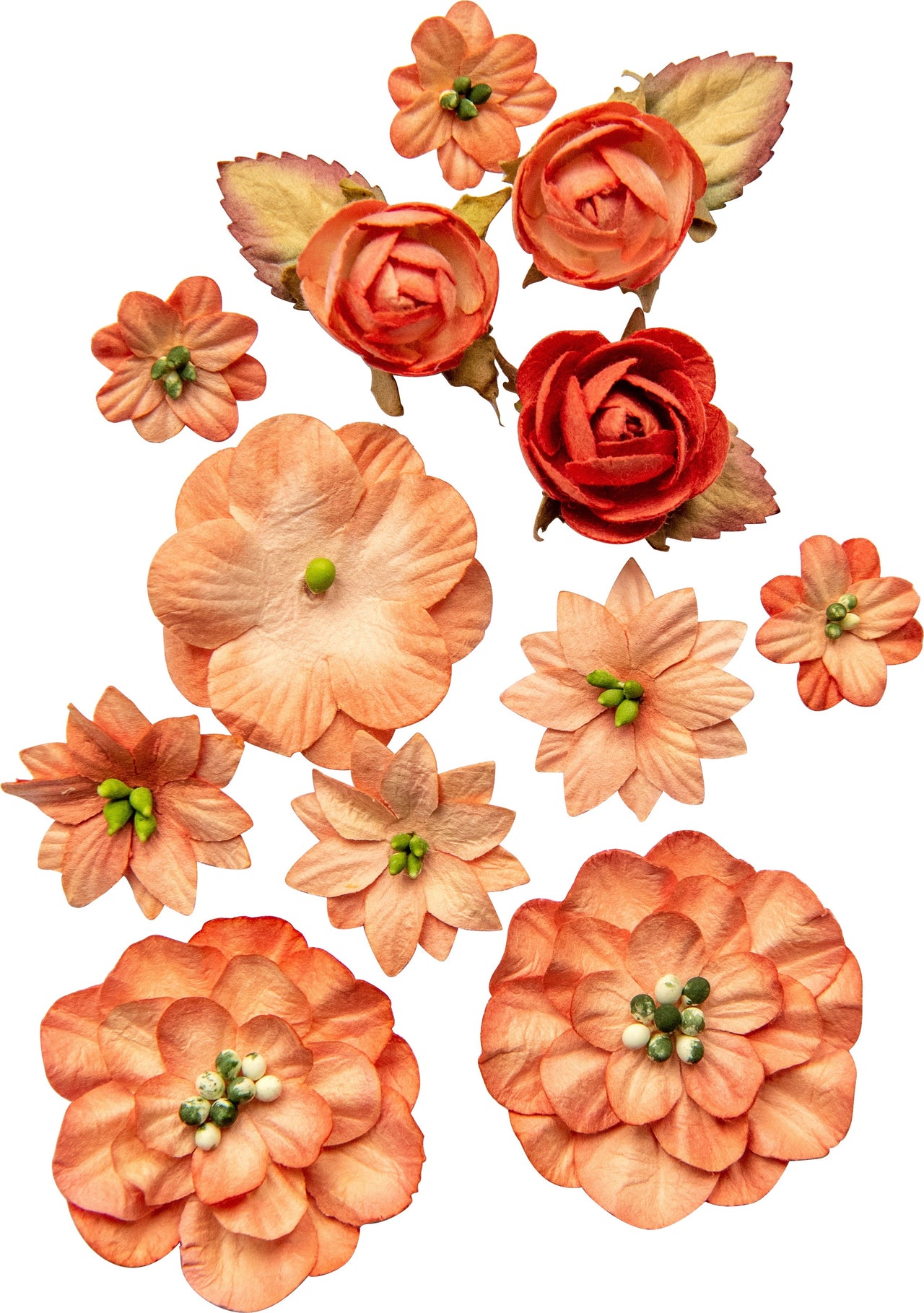 49 And Market Country Blooms 12/Pkg - Tangerine
