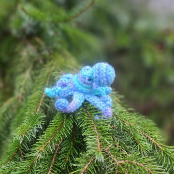 Grumpy Mini Octopus