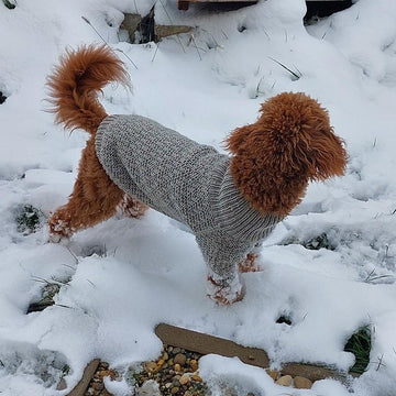 Dog Sweater Charlie No.3