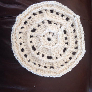 Paddle Wheel Dishcloth