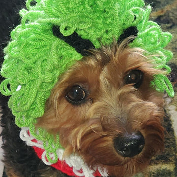 Grinch Inspired Dog Hood