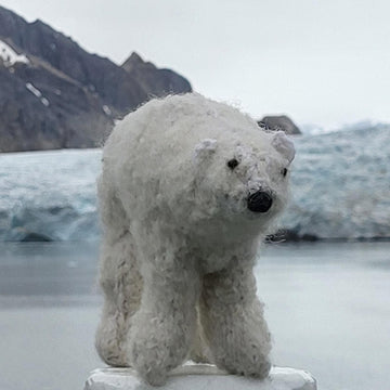 Polar bear