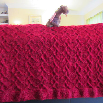Jake & Lois Baby Blanket