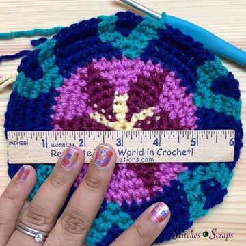 Tapestry Crochet Project Bag