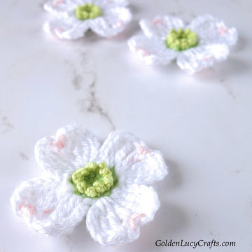 Dogwood Flower