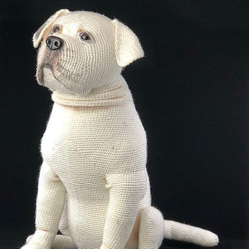 American Bulldog