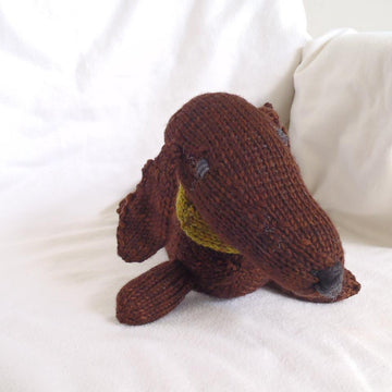 Jelly, the dachshund