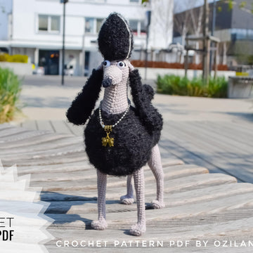 Black Persephone the poodle dog