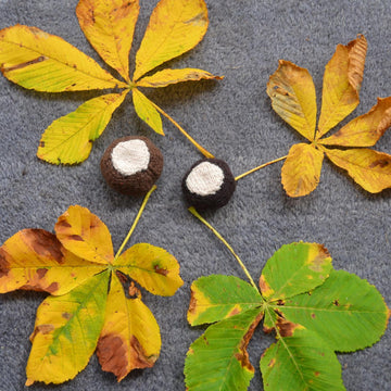 Conker and Shell