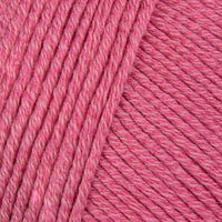 Raspberry Ice (610)