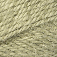 Ivy (8600)