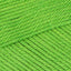 Seashell (Dupl00437)