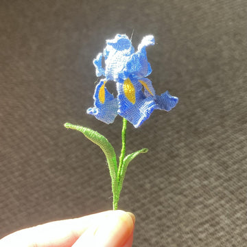 Iris flower