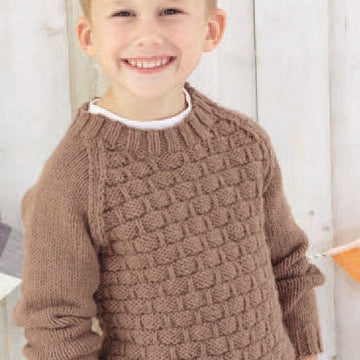 Boys Cardigan & Sweater in Sirdar Supersoft Aran - 4903 - Downloadable PDF