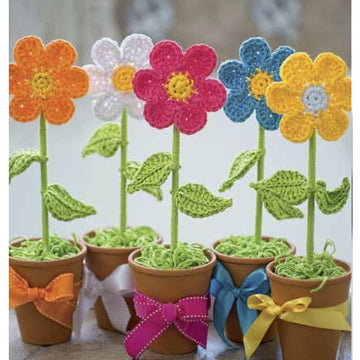 Flower in a Pot