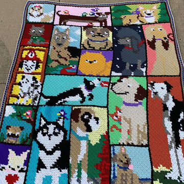 Dogghan C2C Blanket