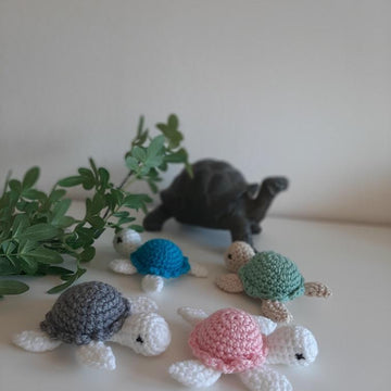 Cute Turtle