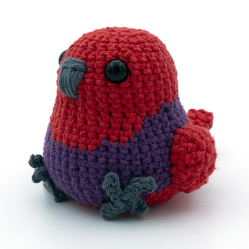 Amigurumi Eclectus Parrot