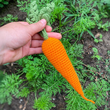 Carrot