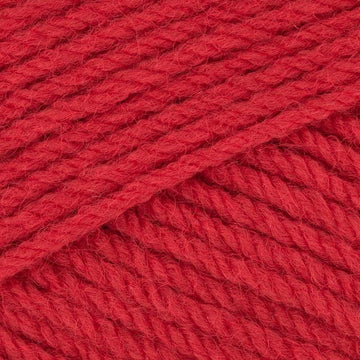 Flamenco (242)