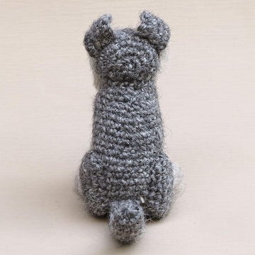Schnoodge the Schnauzer dog