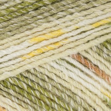 Willow (1385)