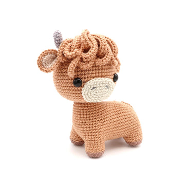 Highland Cow